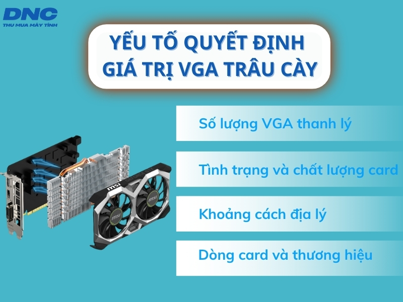 thanh lý trâu cày
